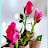 @혜주오-u4e