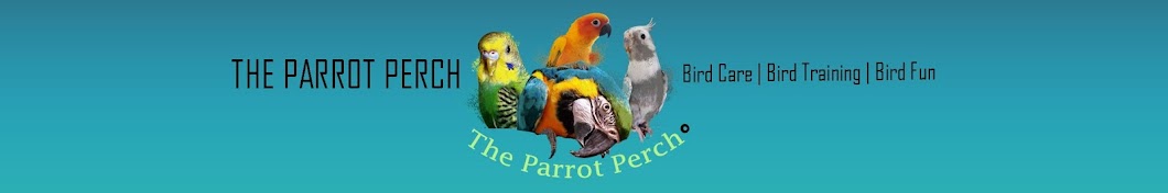 The Parakeet Perch Avatar channel YouTube 