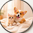6HQxBqEwFBo-channel-avatar-Lucky Pet Moments