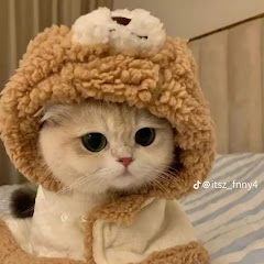 AnDita 138 official