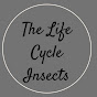 Life Cycle Insect 2.0 logo