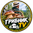 qzclLs7LGrg-channel-avatar-Грибник TV