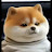 @TOPTEAM1004