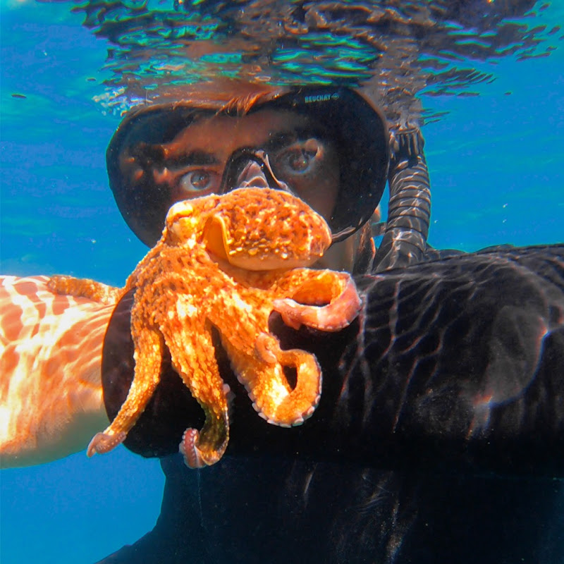 Scuba Simo 🏴‍☠️