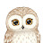 @ChuckNORRlS Avatar