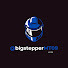 zqo52DT3OLE-channel-avatar-bigstepperMT09