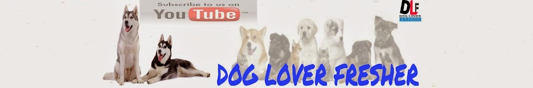 Dog Lover Fresher YouTube 频道头像