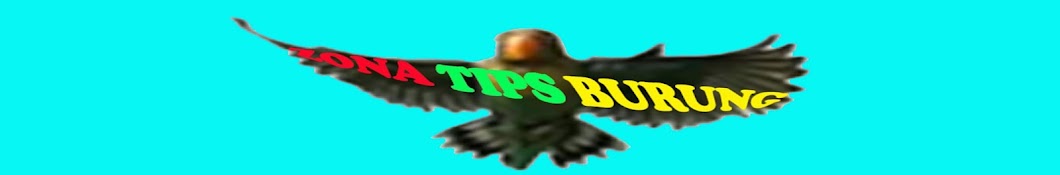 ZONA TIPS BURUNG Avatar channel YouTube 