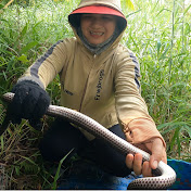 Cò Sang Bẫy Rắn