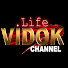 LHayR38ED_0-channel-avatar-VIDOK  (Life)