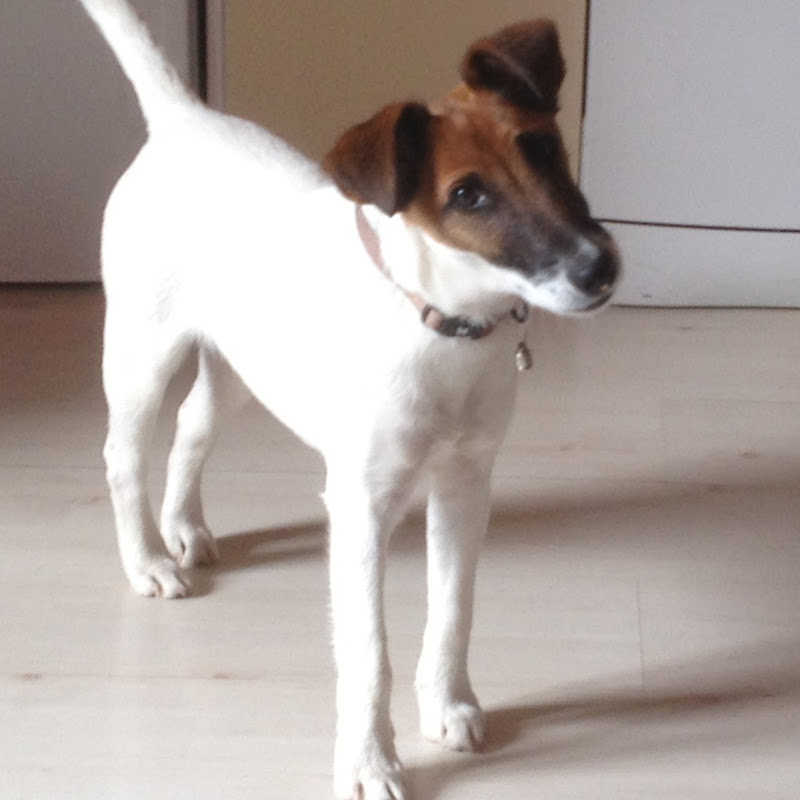 Savoir-Vivre & Santé (Pr O.Henry)