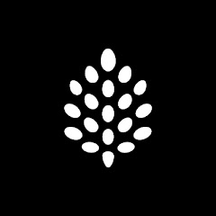backpine labs