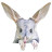 Save the Bilby Fund