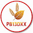 ni5KR1l46kk-channel-avatar-PB 13 DXX