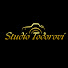 pBDtVZxwfMQ-channel-avatar-Studio Todorovi