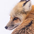 eM8-hX4Q6hk-channel-avatar-ここのえ