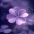 WQCQOjmRSnc-channel-avatar-VexClover