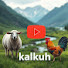 YUyLdlyrbKQ-channel-avatar-kalkuh