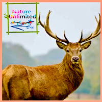 Poll from Nature Unlimited