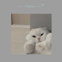 Choose my gifts Image Thumbnail