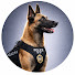 OlZdqMsLYxM-channel-avatar-Bravest Good Boys