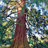 zQ3JzAPb_6Y-channel-avatar-Kosta's World: Watch, Relax, Explore!