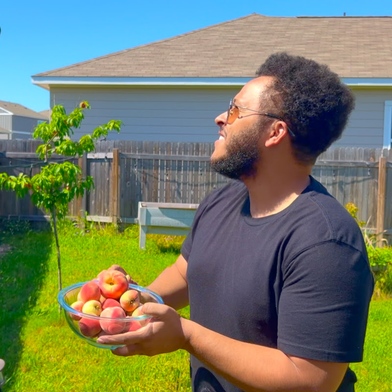 Austin Texas Gardening