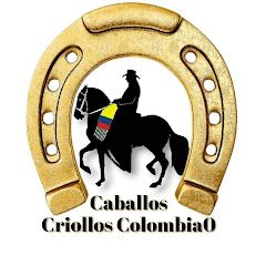 Caballos criollos colombia0