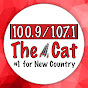 The Cat Albany logo