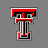 TTU School of Veterinary Medicine