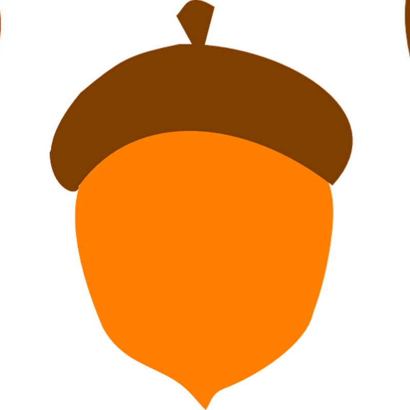 Acorn Acres Wildlife Rehabilitation  avatar
