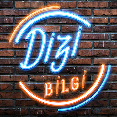 Dizi Bilgi net worth