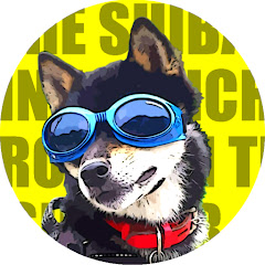 サイドカーに柴犬