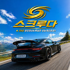 순정튜닝+출력증강 