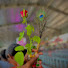 3sVr4UXN5Rc-channel-avatar-Khushiii Love