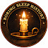 aPUP9PjaRzQ-channel-avatar-Boring Sleep History