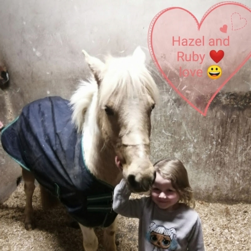Hazel .c