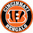 @bengalsfan04