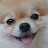 @개깡순귀여워