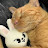 @Anvitha-t9q