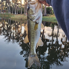 HMS Outdoors