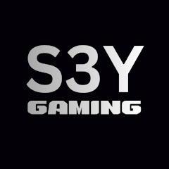S3Y
