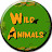 Wild Animals