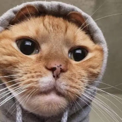 пирожное 11к🍉🥞 105