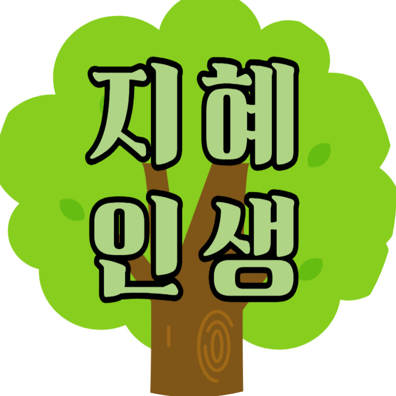 지혜인생