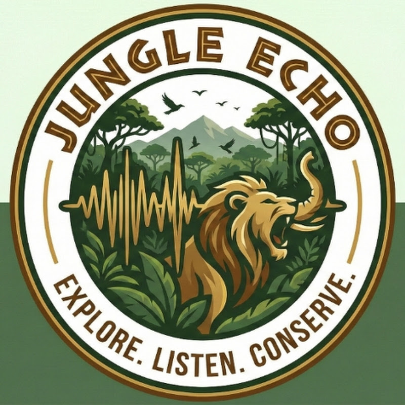 Hire JungleEcho — Nursery Rhymes & Kids Songs YouTube creator for sponsorships