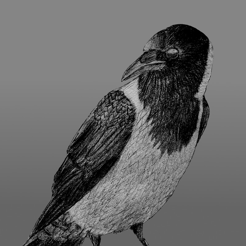 CrowGamer