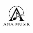 NC9j2LooH9Q-channel-avatar-Ana muzik