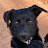 @interested_in_things's avatar