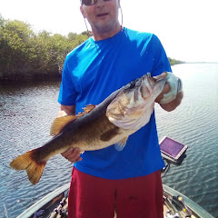 Bassin for life